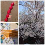 ヒメ日記 2026/03/29 01:37 投稿 桜川【さくらがわ】 丸妻 西船橋店