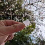 ヒメ日記 2026/03/30 14:51 投稿 桜川【さくらがわ】 丸妻 西船橋店