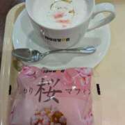 ヒメ日記 2026/03/31 17:47 投稿 桜川【さくらがわ】 丸妻 西船橋店