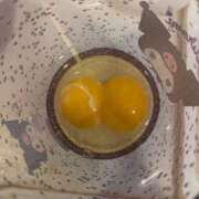 ヒメ日記 2026/04/03 15:29 投稿 桜川【さくらがわ】 丸妻 西船橋店