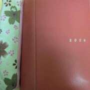 ヒメ日記 2026/04/04 21:19 投稿 桜川【さくらがわ】 丸妻 西船橋店