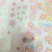 ヒメ日記 2026/04/04 21:33 投稿 桜川【さくらがわ】 丸妻 西船橋店