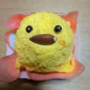 ヒメ日記 2026/04/10 19:12 投稿 桜川【さくらがわ】 丸妻 西船橋店