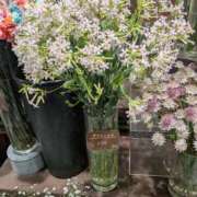 ヒメ日記 2026/04/13 20:51 投稿 桜川【さくらがわ】 丸妻 西船橋店