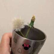 ヒメ日記 2026/04/13 21:24 投稿 桜川【さくらがわ】 丸妻 西船橋店