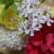 ヒメ日記 2026/04/14 04:04 投稿 桜川【さくらがわ】 丸妻 西船橋店