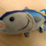 ヒメ日記 2026/04/14 13:25 投稿 桜川【さくらがわ】 丸妻 西船橋店