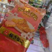 ヒメ日記 2026/04/17 00:37 投稿 桜川【さくらがわ】 丸妻 西船橋店