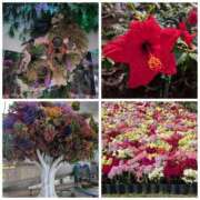 ヒメ日記 2026/04/17 19:54 投稿 桜川【さくらがわ】 丸妻 西船橋店