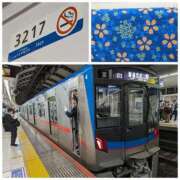 ヒメ日記 2026/04/17 20:57 投稿 桜川【さくらがわ】 丸妻 西船橋店