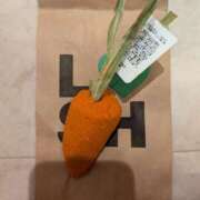 ヒメ日記 2026/04/19 22:54 投稿 桜川【さくらがわ】 丸妻 西船橋店