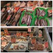 ヒメ日記 2026/04/22 01:41 投稿 桜川【さくらがわ】 丸妻 西船橋店