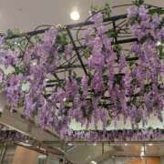 ヒメ日記 2026/04/22 01:50 投稿 桜川【さくらがわ】 丸妻 西船橋店