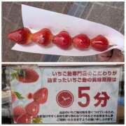 ヒメ日記 2026/04/25 12:59 投稿 桜川【さくらがわ】 丸妻 西船橋店