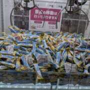 ヒメ日記 2026/04/30 17:45 投稿 桜川【さくらがわ】 丸妻 西船橋店