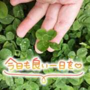 ヒメ日記 2026/05/05 07:19 投稿 桜川【さくらがわ】 丸妻 西船橋店