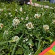 ヒメ日記 2026/05/09 12:44 投稿 桜川【さくらがわ】 丸妻 西船橋店