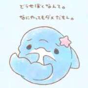 ヒメ日記 2026/05/14 10:46 投稿 桜川【さくらがわ】 丸妻 西船橋店