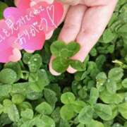 ヒメ日記 2026/05/16 07:20 投稿 桜川【さくらがわ】 丸妻 西船橋店