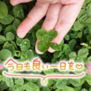 ヒメ日記 2026/08/14 08:00 投稿 桜川【さくらがわ】 丸妻 西船橋店