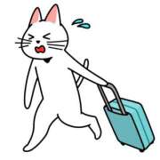 ヒメ日記 2025/09/11 12:13 投稿 みすず 素人妻達☆マイふぇらレディー