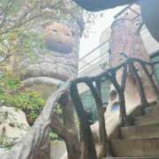 ヒメ日記 2025/11/28 10:24 投稿 みすず 素人妻達☆マイふぇらレディー