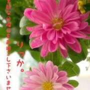 ヒメ日記 2025/07/13 05:33 投稿 りっか 熟女の風俗最終章 八王子店