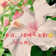 ヒメ日記 2025/07/22 16:03 投稿 りっか 熟女の風俗最終章 八王子店