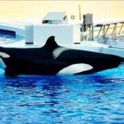 ヒメ日記 2025/07/02 15:23 投稿 りっか 熟女の風俗最終章 所沢店