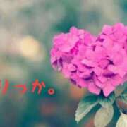 ヒメ日記 2025/06/17 14:13 投稿 りっか 熟女の風俗最終章 立川店