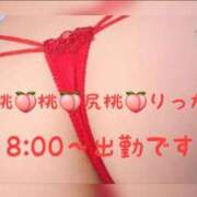 ヒメ日記 2025/07/17 14:13 投稿 りっか 熟女の風俗最終章 立川店