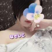 ヒメ日記 2025/09/04 09:30 投稿 なでしこ 夜這い茶屋 はなれ