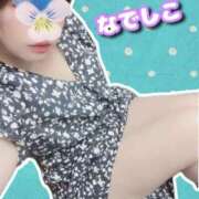 なでしこ こんにちは🌸✨ 夜這い茶屋 はなれ