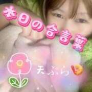 ヒメ日記 2026/03/23 00:20 投稿 ゆきみ 熟女の風俗最終章 町田店