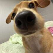 ヒメ日記 2026/01/19 07:41 投稿 天ノ川レア エンジェルとデビル