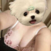 ヒメ日記 2025/05/22 14:39 投稿 かのん 大阪和泉ちゃんこ