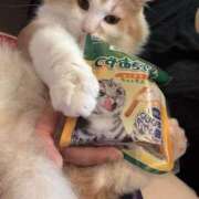 ヒメ日記 2025/07/21 14:28 投稿 みささん いけない奥さん 十三店