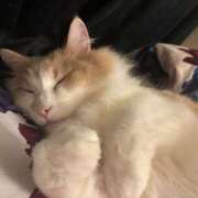 ヒメ日記 2025/07/31 20:18 投稿 みささん いけない奥さん 梅田店