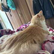 ヒメ日記 2025/08/05 13:28 投稿 みささん いけない奥さん 梅田店