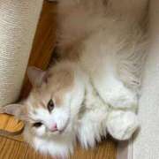 ヒメ日記 2025/08/28 01:18 投稿 みささん いけない奥さん 梅田店