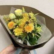 あずさ おれい❤ Seirenes (セイレネス)