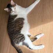 ヒメ日記 2025/10/08 13:23 投稿 美七海はな セレブ Rex