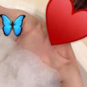 ヒメ日記 2025/11/02 19:47 投稿 美七海はな セレブ Rex