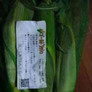 ヒメ日記 2025/06/24 10:46 投稿 さら [優良人妻店]セレブスタイル（山口～防府～萩）