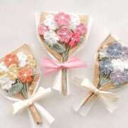 ヒメ日記 2025/11/13 14:18 投稿 さら [優良人妻店]セレブスタイル（山口～防府～萩）