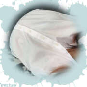 ヒメ日記 2025/10/08 09:51 投稿 るい ゴールドフィンガー