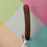 ヒメ日記 2025/10/08 12:50 投稿 るい ゴールドフィンガー