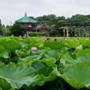 ヒメ日記 2025/07/20 12:06 投稿 あきな パンスト熟女はいやらしい