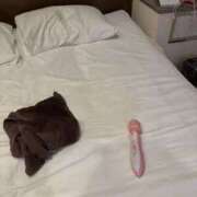 ヒメ日記 2025/06/22 19:14 投稿 れん スピードエコ難波店