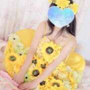 ヒメ日記 2025/08/27 16:32 投稿 りつこ 熟女の風俗最終章 新宿店